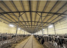 畜牧業廠房車間
